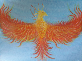 Image 24